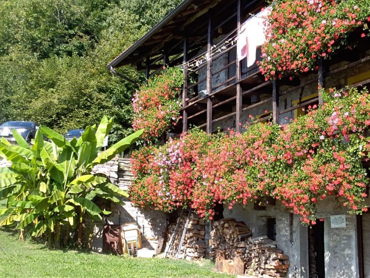B&B "La Baita Delle Coccinelle" Varallo Zewnętrze zdjęcie